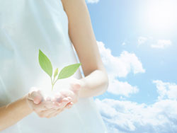 af43_L.jpg