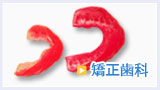 banner02.jpg